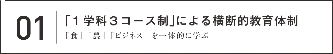 01 「1学科3コース制」による横断的教育体制