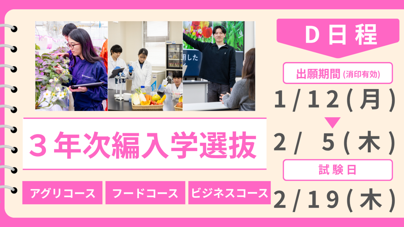 3年次編入学選抜