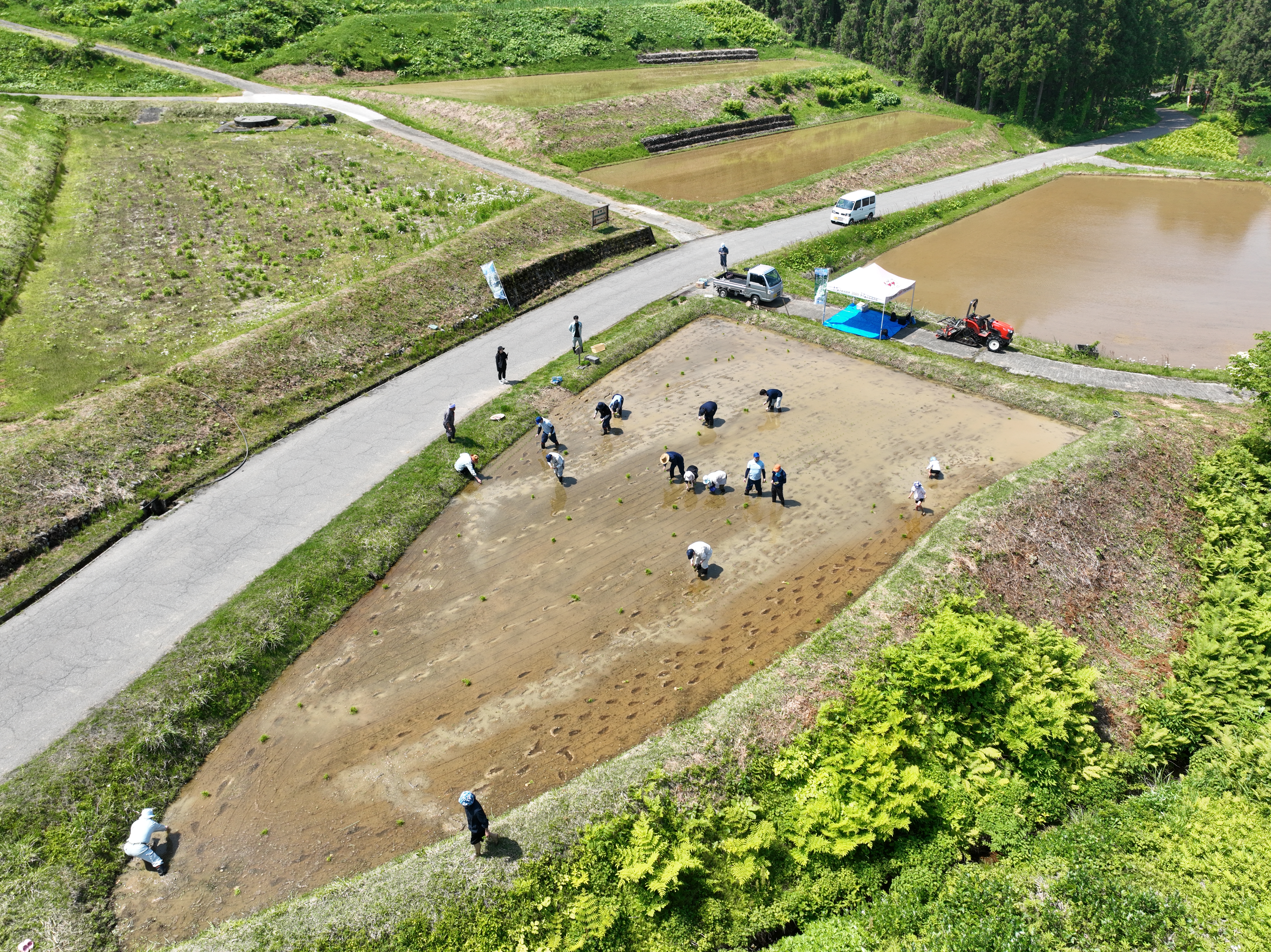 社会連携活動】糸魚川市棚田みらい応援団 田植え活動に参加しました