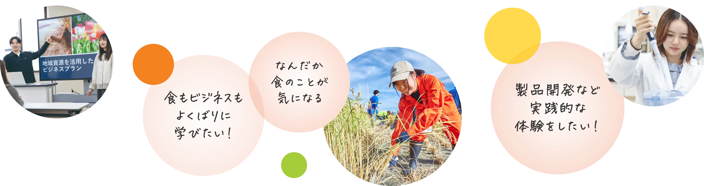 食もビジネスもよくばりに学びたい！、なんだか食のことが気になる、製品開発など実践的な体験をしたい！