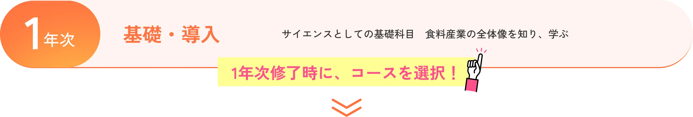 ［1年次］基礎・導入：サイエンスとしての基礎科目　食料産業の全体像を知り、学ぶ。1年次終了時に、コースを選択！