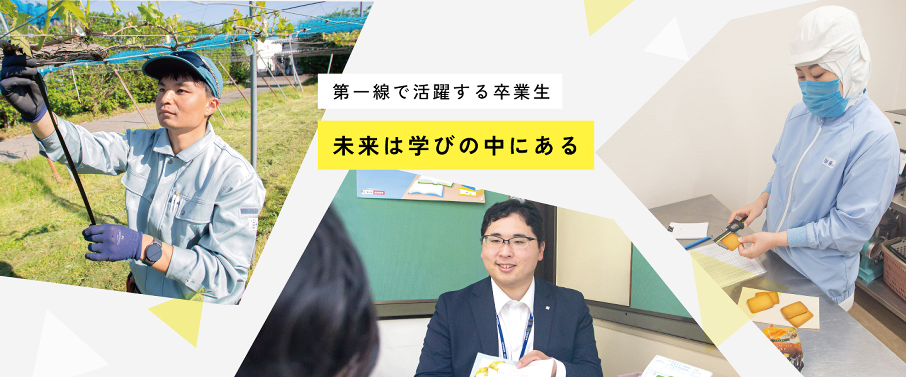 第一線で活躍する卒業生 未来は学びの中にある