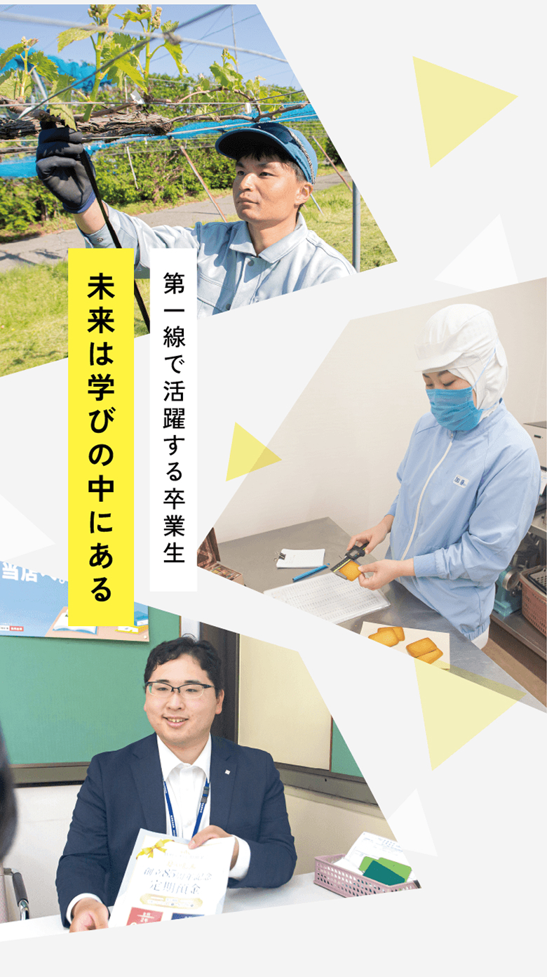 第一線で活躍する卒業生 未来は学びの中にある