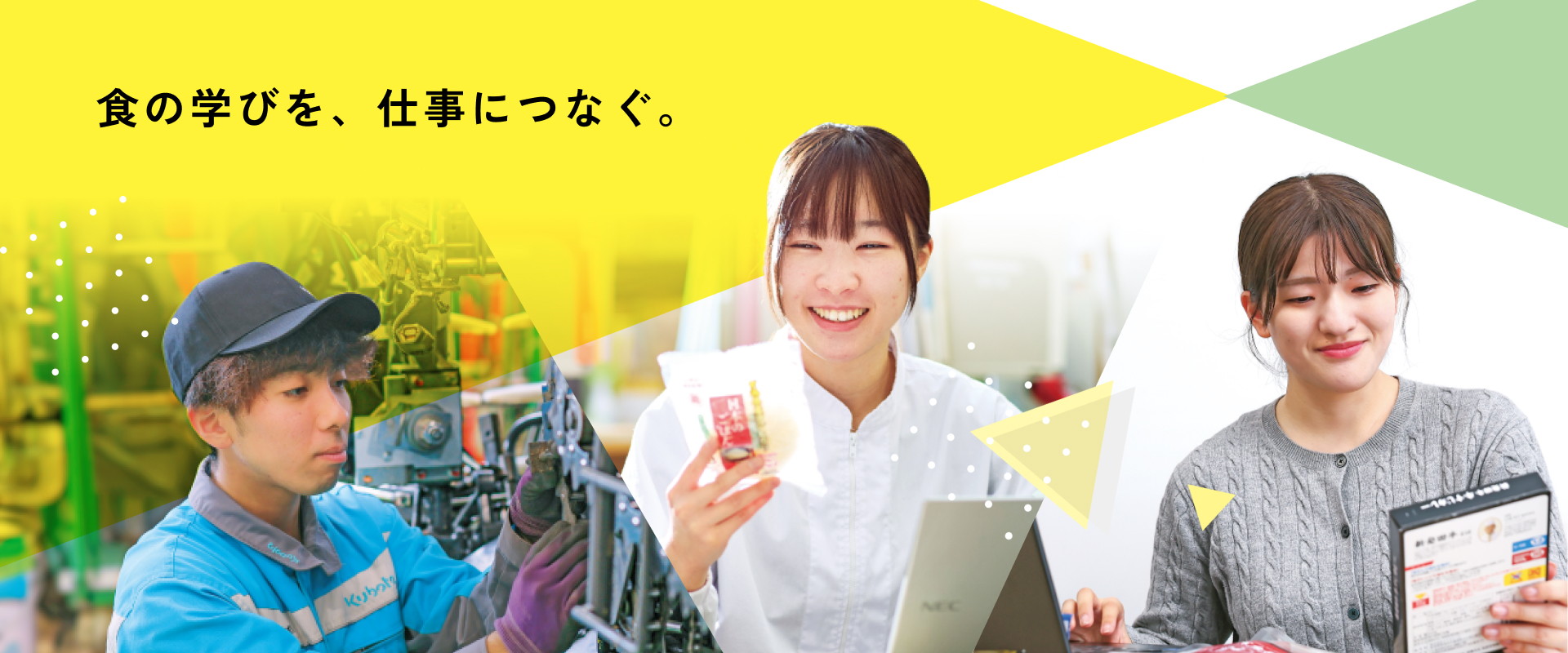 第一線で活躍する卒業生　未来は学びの中にある