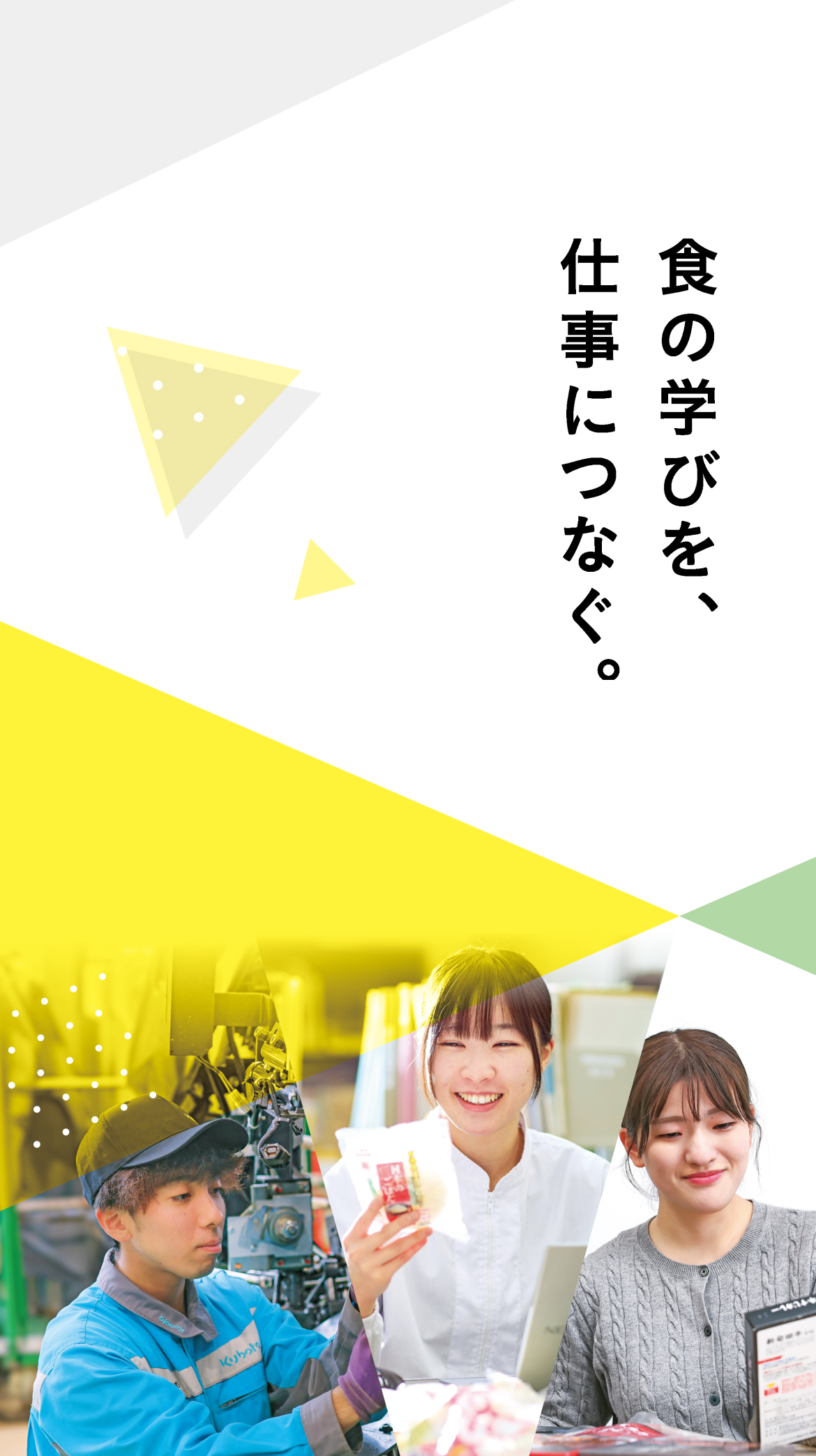 第一線で活躍する卒業生　未来は学びの中にある