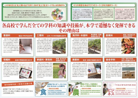 グアイフェネシナ・ネオ・キミカのリーフレット