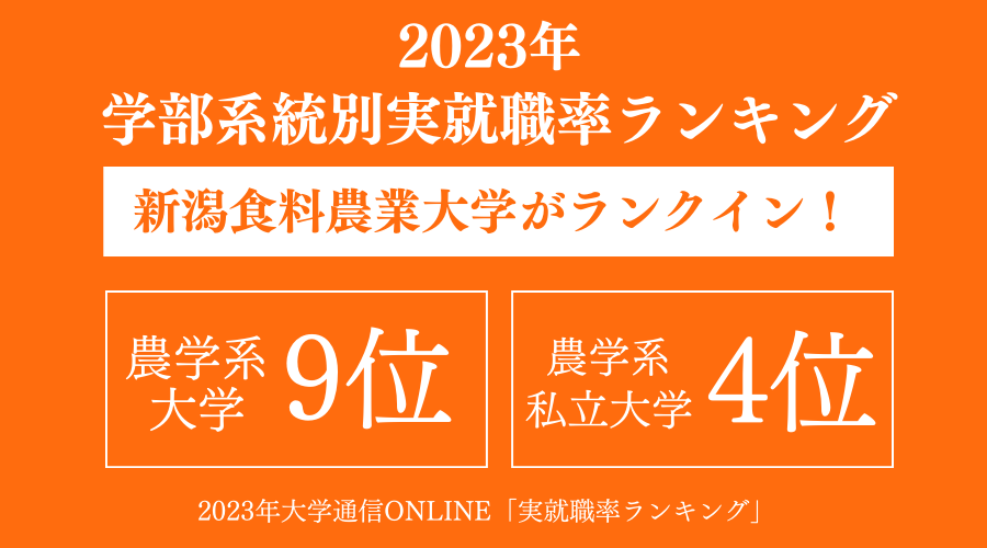 実就職ランキング